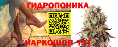 амф Кулебаки