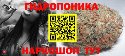 амф Кулебаки