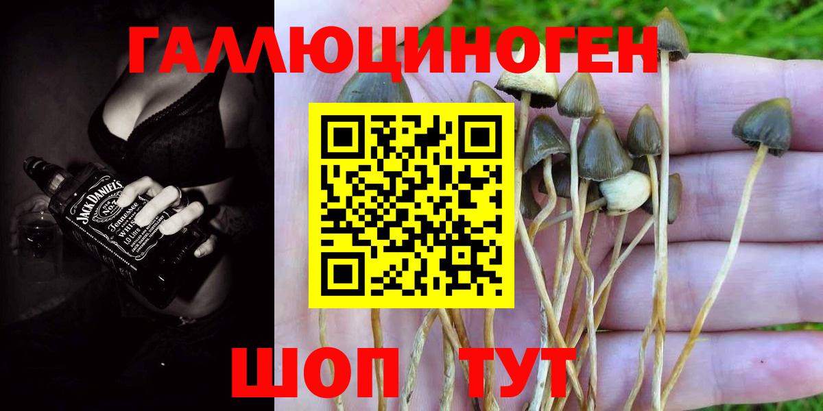 Кимовск  Псилоцибиновые грибы MAGIC MUSHROOMS  Вход с VPN  Галлюциногенные грибы мицелий 